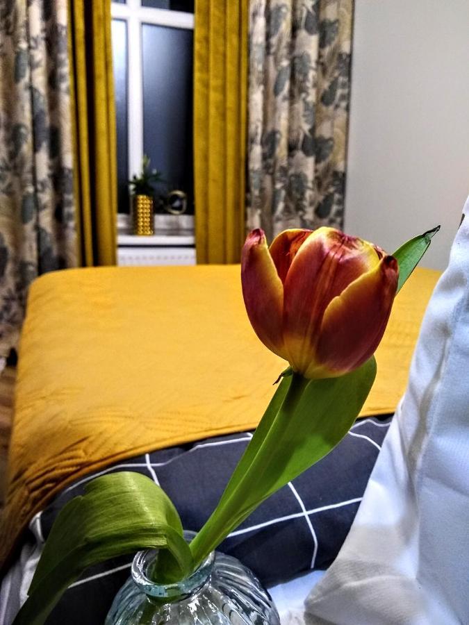 Evitadelux Slowackiego 50Mgaleria Katowice Kültér fotó